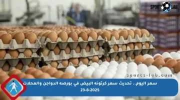 سعر اليوم.. تحديث سعر كرتونة البيض في بورصة الدواجن والمحلات 23-8-2025